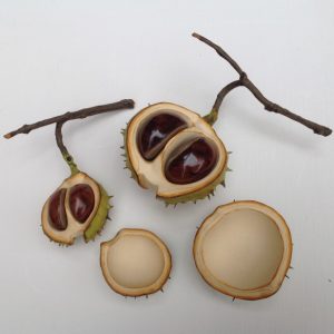 BABY HORSECHESTNUT COLLECTION